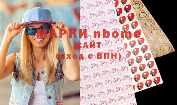 гашик Алагир
