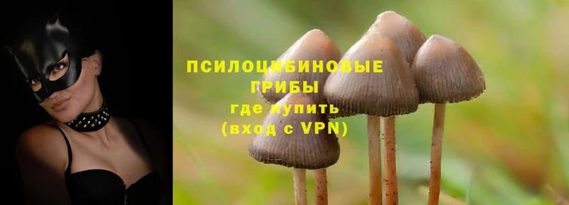 Псилоцибиновые грибы Magic Shrooms  Новоульяновск 